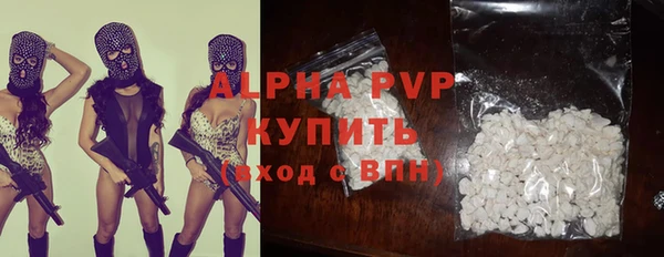 стаф Верея