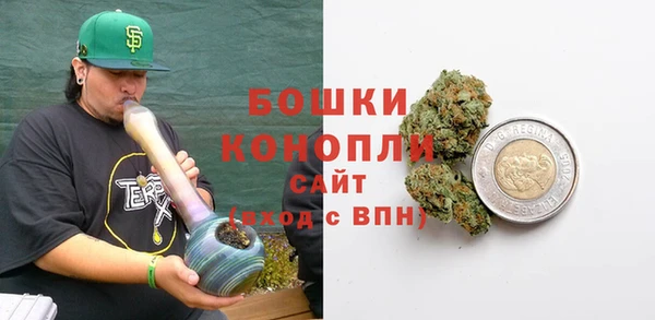 стаф Верея