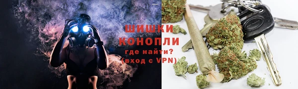 стаф Верея
