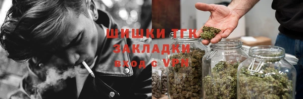 стаф Верея