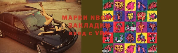 стаф Верея