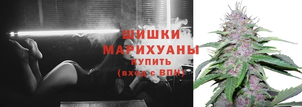 крисы Верхний Тагил