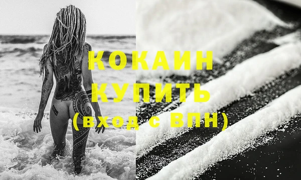 стаф Верея