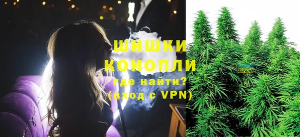 крисы Верхний Тагил