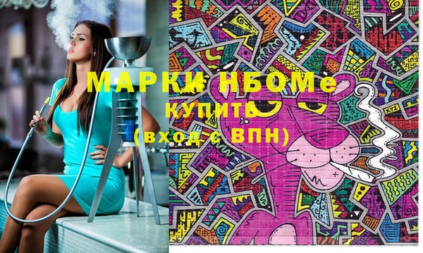 стаф Верея
