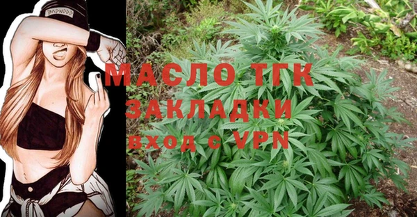 стаф Верея