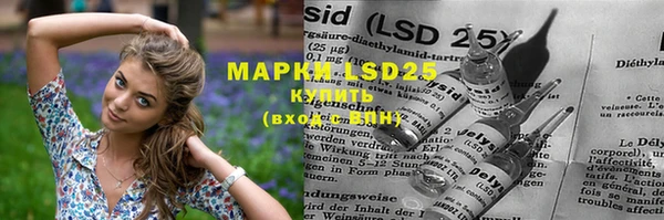 крисы Верхний Тагил
