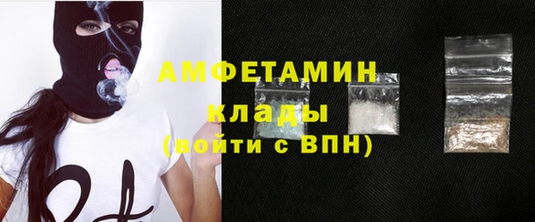 стаф Верея