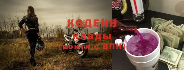 стаф Верея