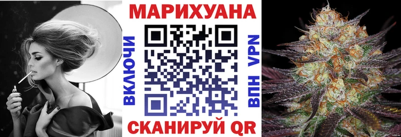 Каннабис семена сколько стоит Новосибирск